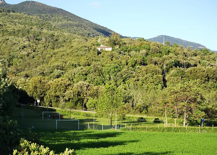 Camping * Montagut