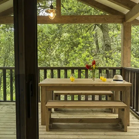 Lodge Camping