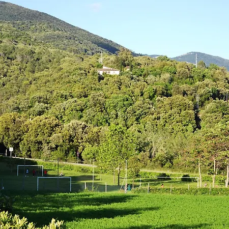 Camping * Montagut